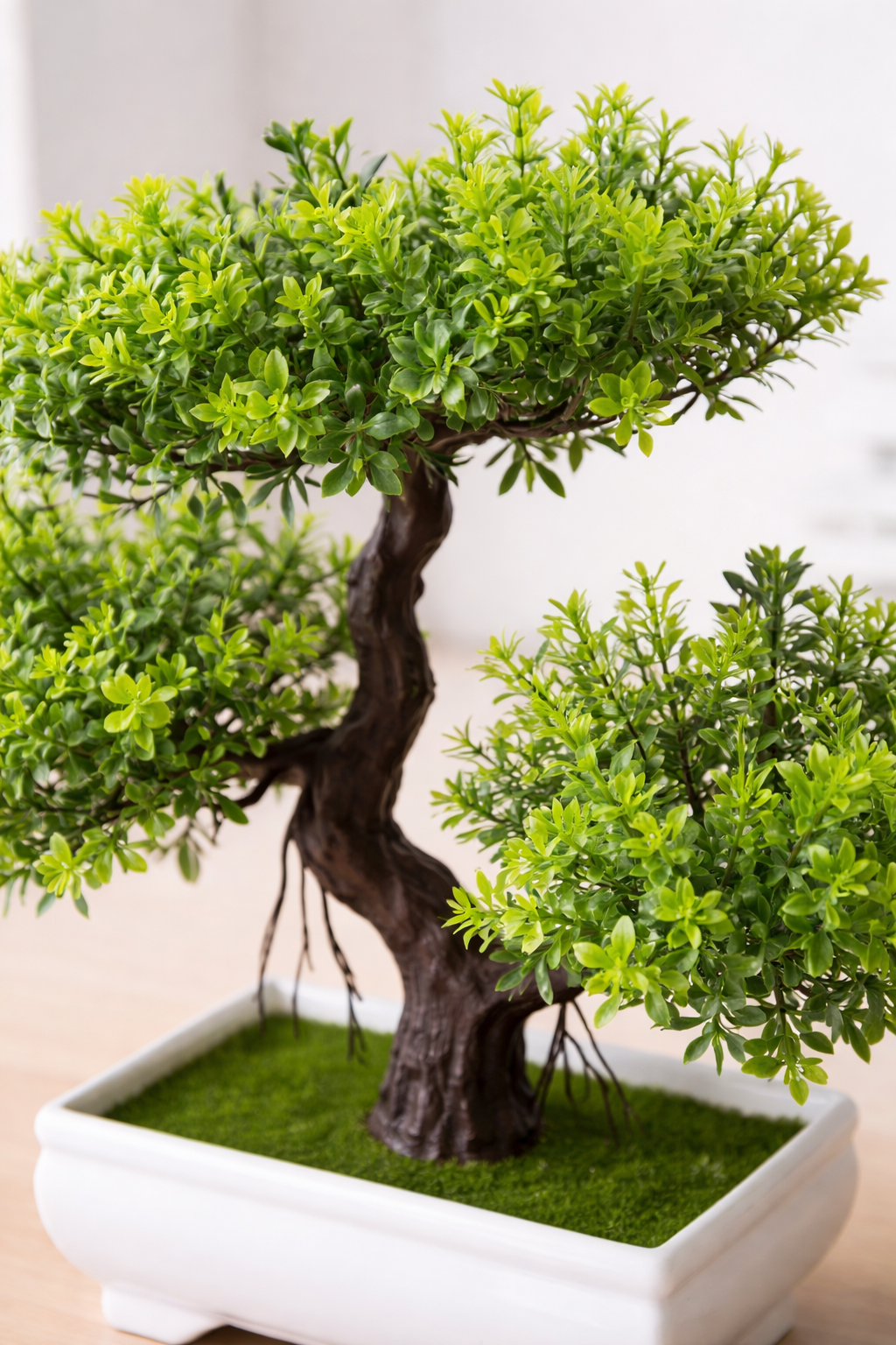 Mini Bonsai Tree -  Elegant Home Decor Plant