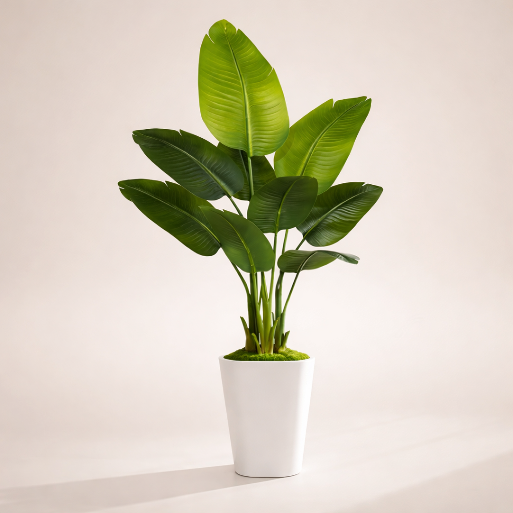 Realistic Bird of Paradise Plant